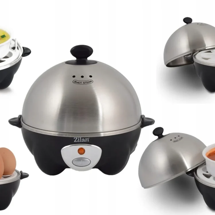 محضرة بيض زيلان