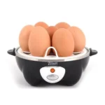 محضرة بيض زيلان