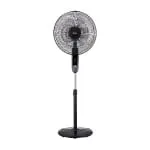 photo 2024 08 20 11 34 35