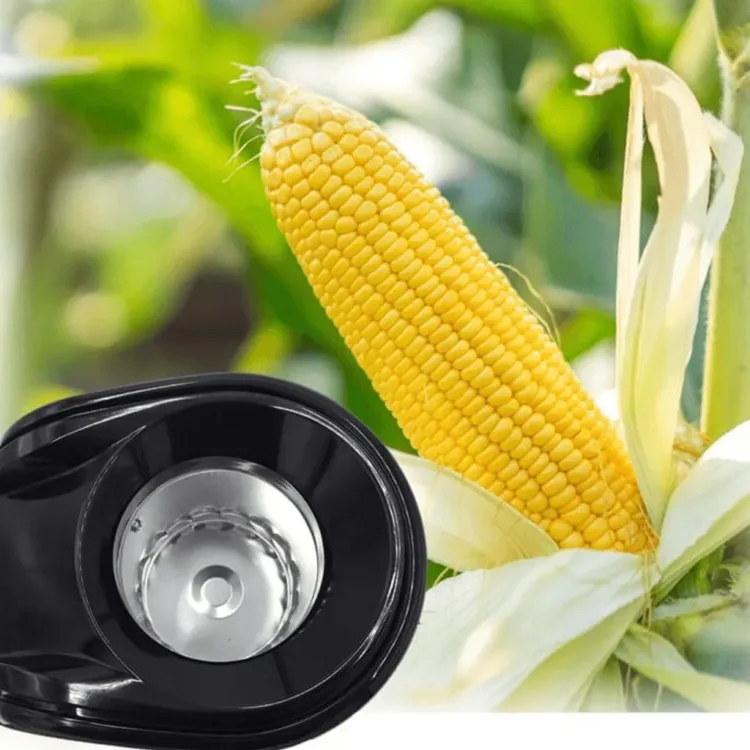 محضرة بوشار احمر زيلان