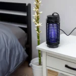 قاتل الحشرات زيلان