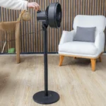 مروحة زيلان