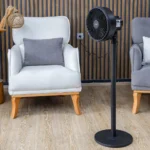 مروحة زيلان