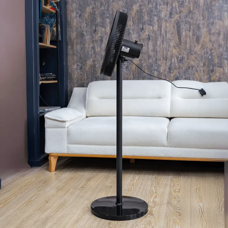 مروحة زيلان