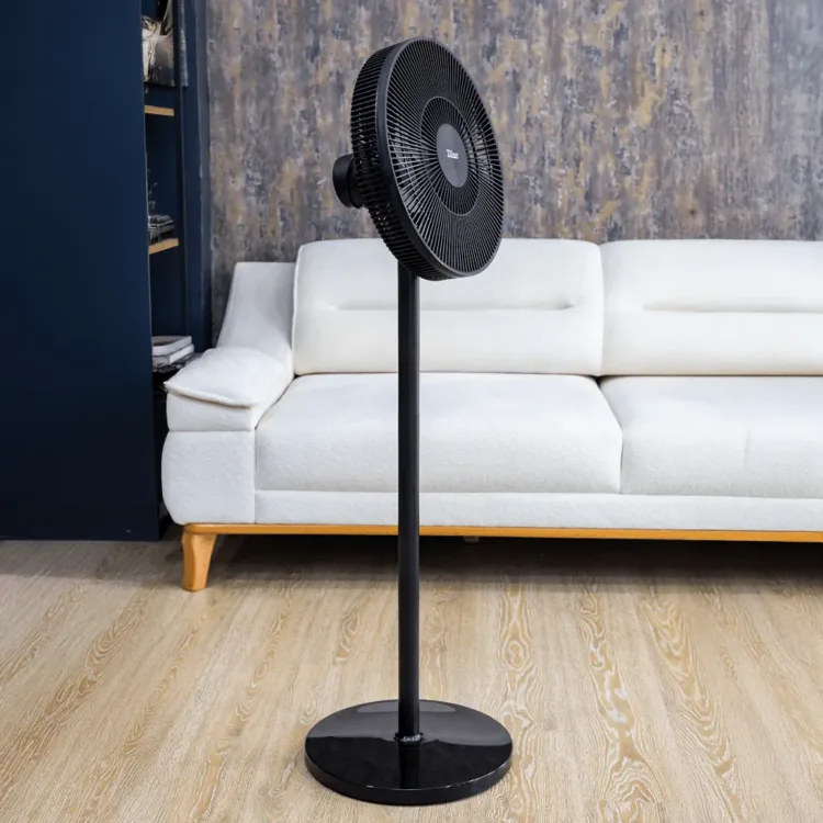 مروحة زيلان