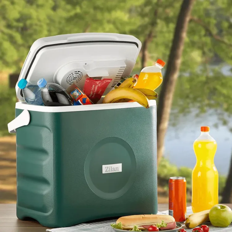 ثلاجة متنقلة زيلان