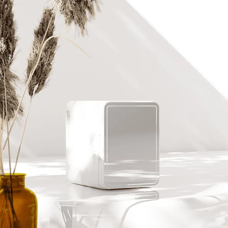 ثلاجة صغيرة زيلان