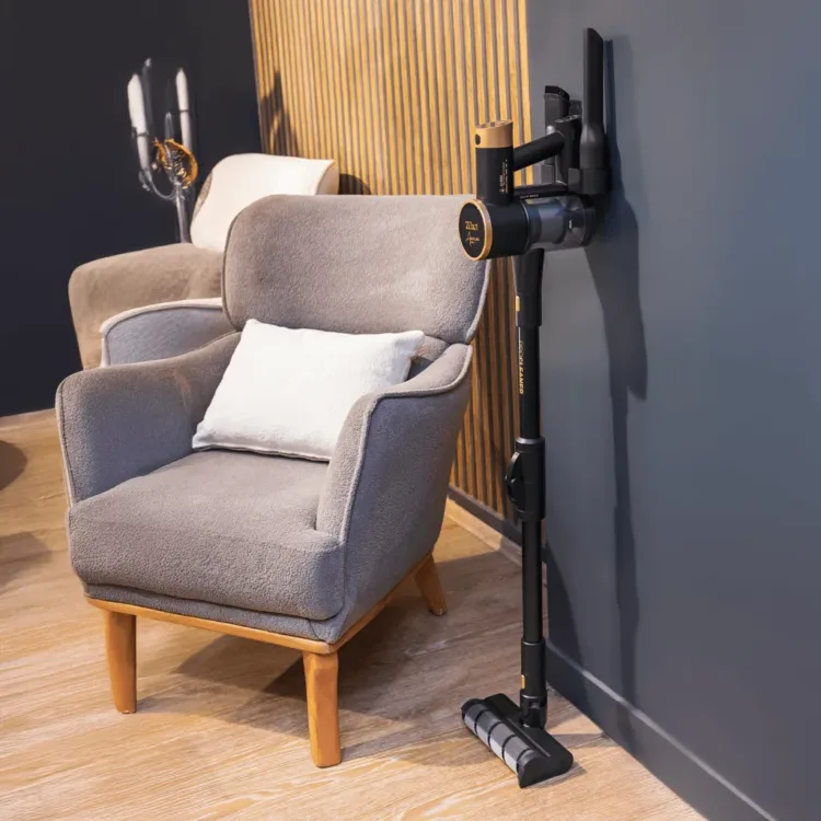 مكنسة شحن زيلان