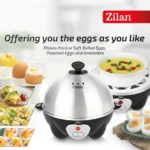 محضرة بيض زيلان