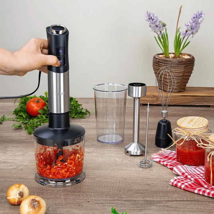 طقم خلاط يدوي زيلان