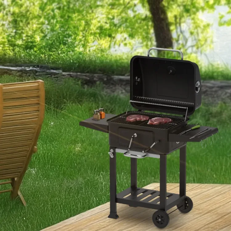 باربكيو جريل زيلان