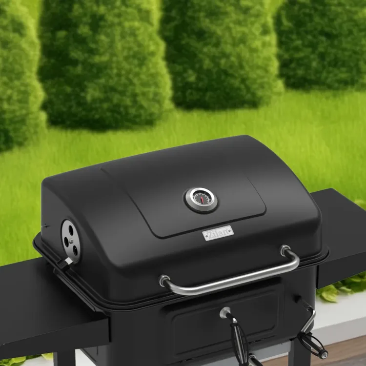 باربكيو جريل زيلان