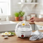 ⁦صانعة البيض فلوريا⁩ - الصورة ⁦2⁩