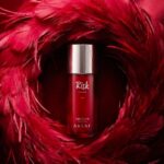 ريسك كوميت Risk Comete