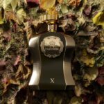 هاينس 10 Highness x